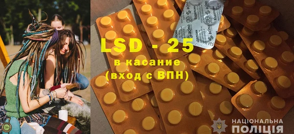 ГАЛЛЮЦИНОГЕННЫЕ ГРИБЫ Покров
