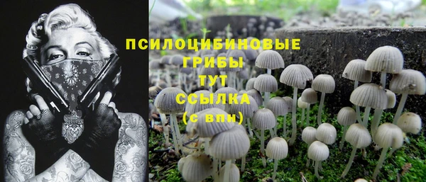 ГАЛЛЮЦИНОГЕННЫЕ ГРИБЫ Покров