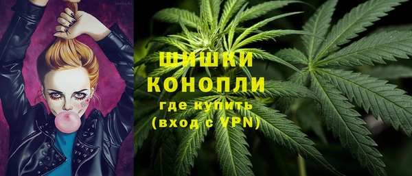 ГАЛЛЮЦИНОГЕННЫЕ ГРИБЫ Покров