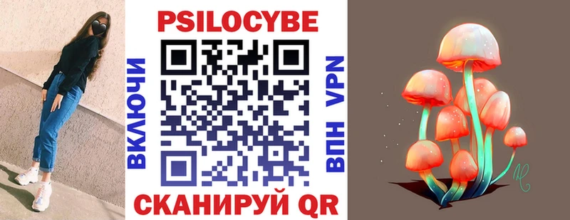 наркота  Махачкала  OMG маркетплейс  Галлюциногенные грибы Cubensis 