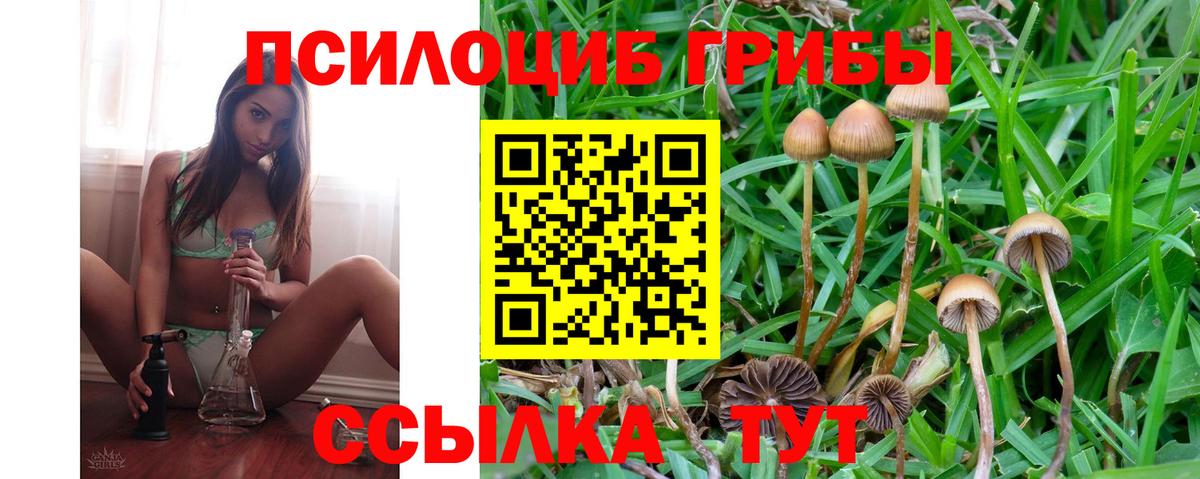 Псилоцибиновые грибы мицелий  Вход с VPN  Махачкала  Галлюциногенные грибы прущие грибы 